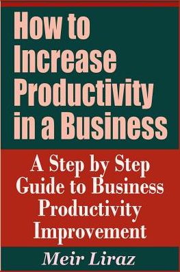 Cover for Meir Liraz · How to Increase Productivity in a Business - A Step by Step Guide to Business Productivity Improvement (Paperback Book) (2019)