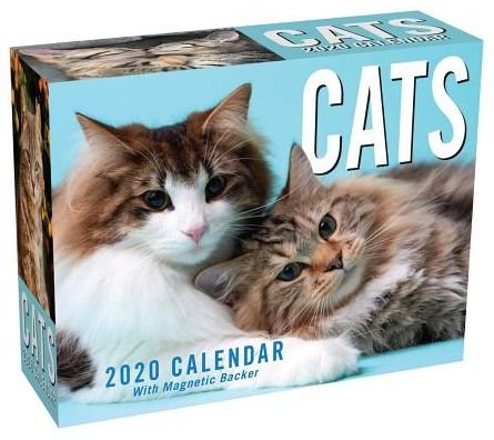Cover for Andrews McMeel Publishing · Cats 2020 Mini Day-to-Day Calendar (Kalender) (2019)