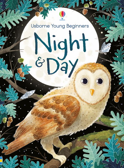 Cover for Emily Bone · Night and Day - Young Beginners (Innbunden bok) (2017)