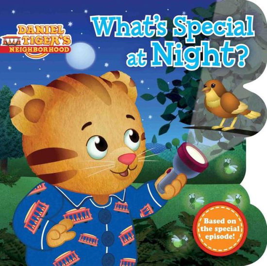 What's Special at Night? - Jason Fruchter - Books - Simon Spotlight - 9781481457699 - September 29, 2015