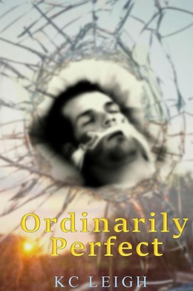 Cover for K C Leigh · Ordinarily Perfect: a Car Accident, a Brain Injury...will Anything Be Ordinary Again? (Paperback Book) (2014)