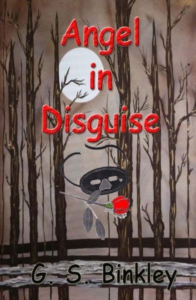 Cover for G S Binkley · Angel in Disguise (Paperback Bog) (2015)