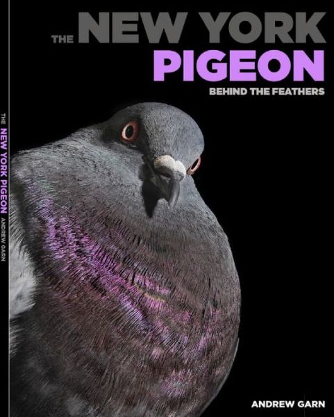 Cover for Andrew Garn · The New York Pigeon: Behind the Feathers (Hardcover Book) (2018)