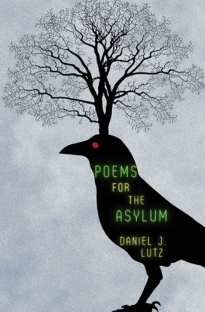 Cover for Daniel J Lutz · Poems for the Asylum (Paperback Book) (2021)