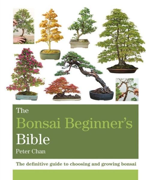 Cover for Peter Chan · The Bonsai Beginner's Bible: The definitive guide to choosing and growing bonsai - Octopus Bible Series (Pocketbok) (2018)