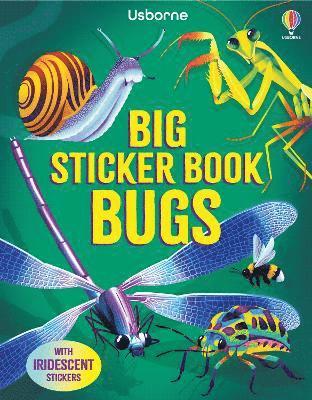 Cover for Alice James · Big Sticker Book Bugs - Big Sticker Books (Paperback Book) (2025)