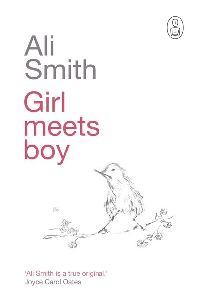 Cover for Ali Smith · Girl Meets Boy (Hardcover bog) (2007)
