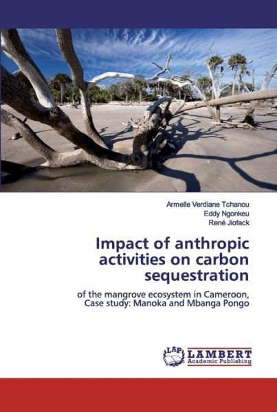 Cover for Tchanou · Impact of anthropic activities (Bog) (2019)