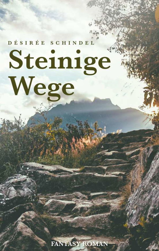Cover for Desiree Schindel · Steinige Wege (Paperback Book) (2019)