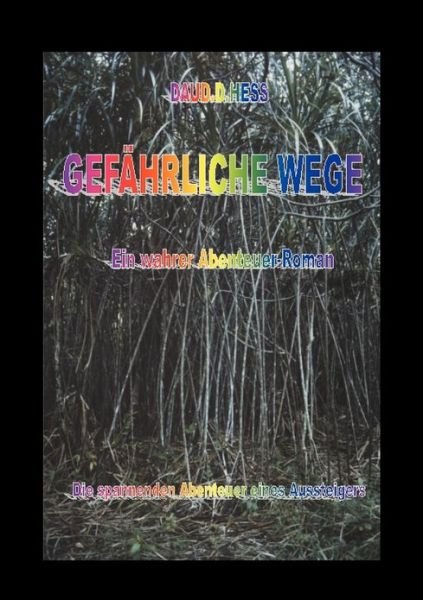 Cover for Daud D Hess · Gefahrliche Wege (Pocketbok) [German edition] (2001)