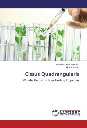 Cover for Binod Raulo · Cissus Quadrangularis: Wonder Herb with Bone Healing Properties (Paperback Book) (2011)