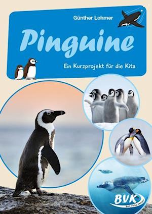 Cover for Günther Lohmer · Pinguine: Ein Kurzprojekt für die Kita (Kita-Kurzprojekte) (Book) (2022)