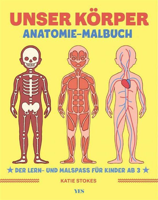 Cover for Stokes · Unser Körper (Book)
