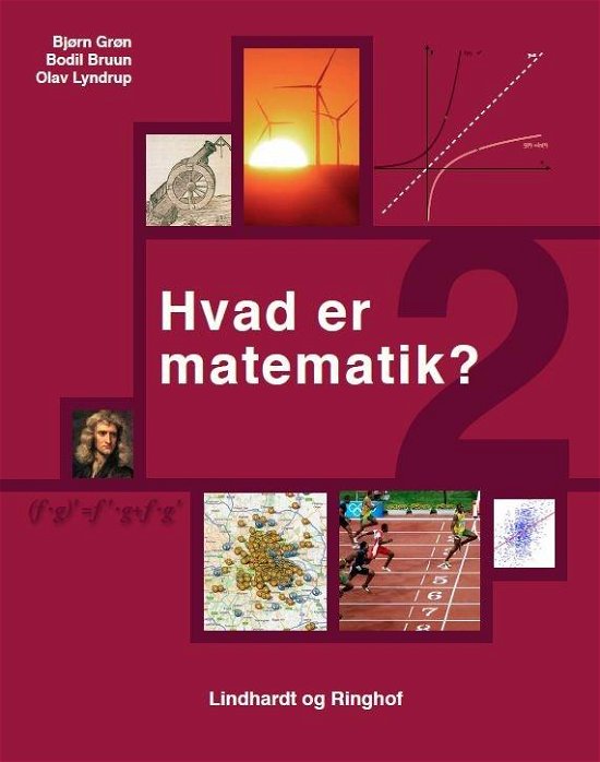 Cover for Bodil Bruun; Bjørn Grøn; Olav Lyndrup · Hvad er matematik: Hvad er matematik? 2 (Hæftet bog) [1. udgave] (2018)