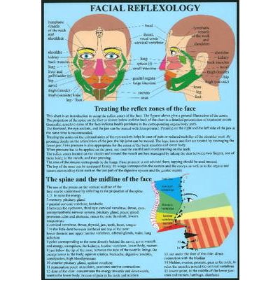 Facial Reflexology -- A4 - Jan van Baarle - Merchandise - Jan Van Baarle - 9789079887699 - 16. september 2010