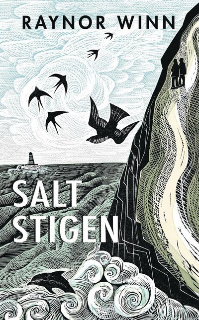Cover for Raynor Winn · Saltstigen (Inbunden Bok) (2023)