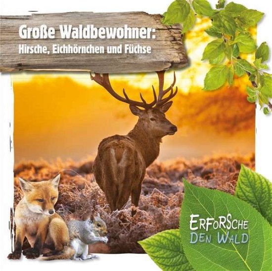 Cover for Twiddy · Große Waldbewohner: Hirsche, Eic (Book)