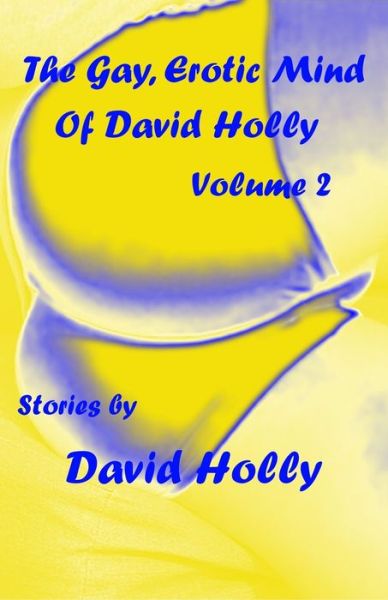 Cover for David Holly · The Gay, Erotic Mind of David Holly, Volume 2 (Paperback Book) (2020)