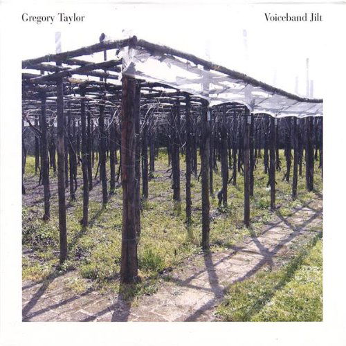 Cover for Gregory Taylor · Voiceband Jilt (CD) (2006)