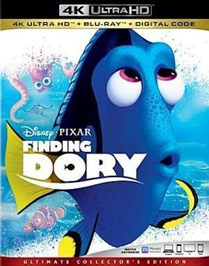 Cover for Finding Dory (4K UHD Blu-ray) (2019)