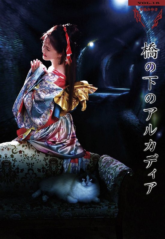 Cover for Miyuki Nakajima · Yakai Vol.18 Hashi No Shita No Arcadia (MBD) [Japan Import edition] (2015)