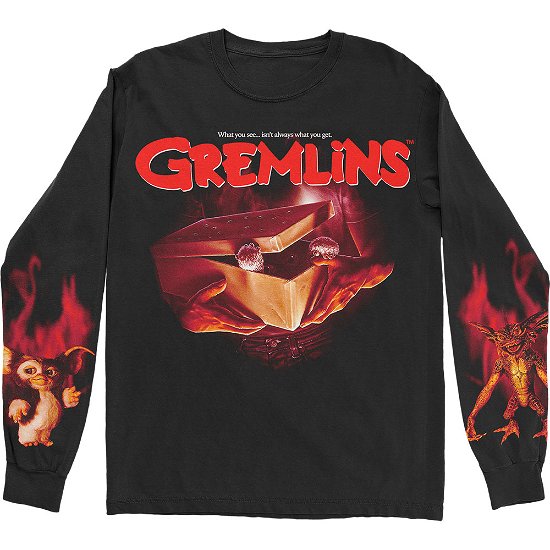Cover for Gremlins · Gremlins Unisex Long Sleeve T-Shirt: What It Seems (TØJ) [size S] [Black - Unisex edition]