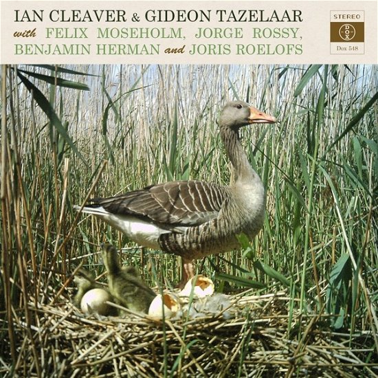 Cover for Cleaver,ian / Taz,gideon · Volume 1 (LP) (2021)