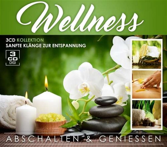 Wellness - Abschalten & Genieben - V/A - Musiikki - MCP - 9002986131700 - perjantai 13. syyskuuta 2019