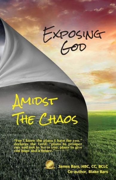 Cover for Blake Bars · Exposing God Amidst the Chaos (Taschenbuch) (2014)