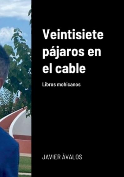 Cover for Javier Ávalos Santilari · Veintisiete pájaros en el cable (Paperback Book) (2021)