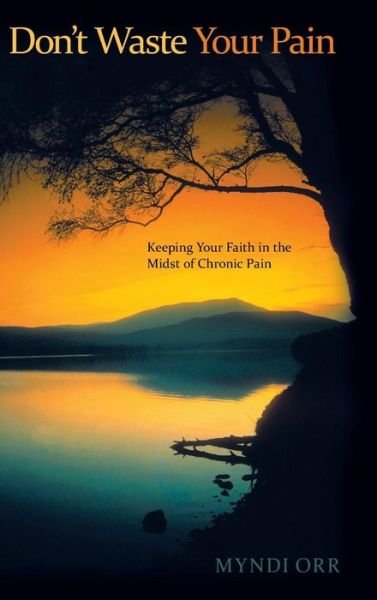 Cover for Myndi Orr · Don't Waste Your Pain: Keeping Your Faith in the Midst of Chronic Pain (Gebundenes Buch) (2015)