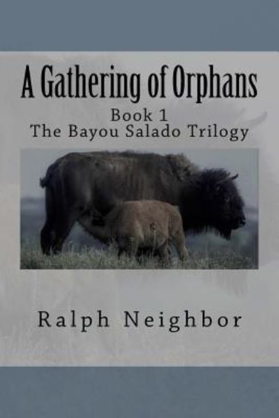 Cover for Ralph Neighbor · A Gathering of Orphans (Pocketbok) (2016)