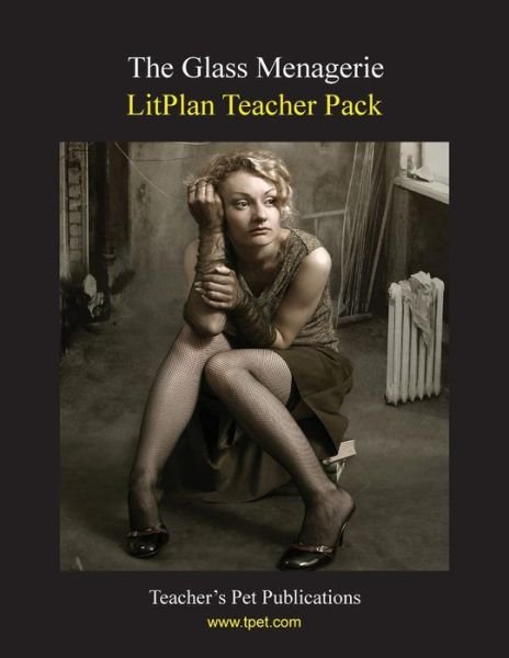 Cover for Mary B Collins · Litplan Teacher Pack (Taschenbuch) (1996)