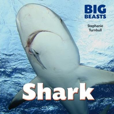 Cover for Stephanie Turnbull · Shark (Big Beasts) (Innbunden bok) (2015)