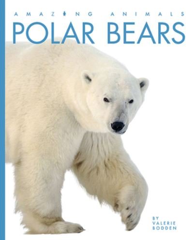 Cover for Valerie Bodden · Amazing Animals: Polar Bears (Pocketbok) (2020)