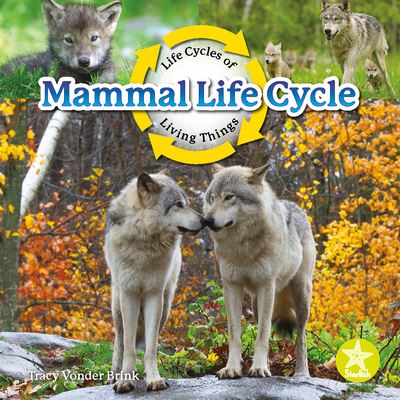 Cover for Tracy Vonder Brink · Mammal Life Cycle (Book) (2022)