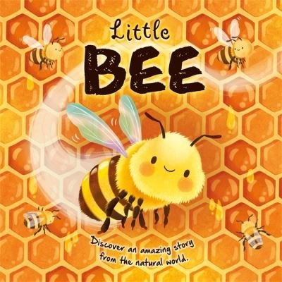 Cover for Autumn Publishing · Little Bee - An illustrated story about the life-cycle of a bee (Hardcover bog) (2024)