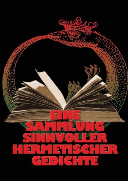 Cover for Johannes H. Von Hohenstatten · Eine Sammlung Sinnvoller Hermetischer Gedichte (Paperback Book) [German edition] (2013)