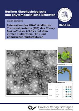 Cover for Luise Dierker · Interaktion des RNA2-kodierten Transportproteins (MP) des Cherry leaf roll virus (CLRV) mit dem viralen Hüllprotein (CP) und pflanzlichen Wirtsfaktoren (Paperback Book) (2017)
