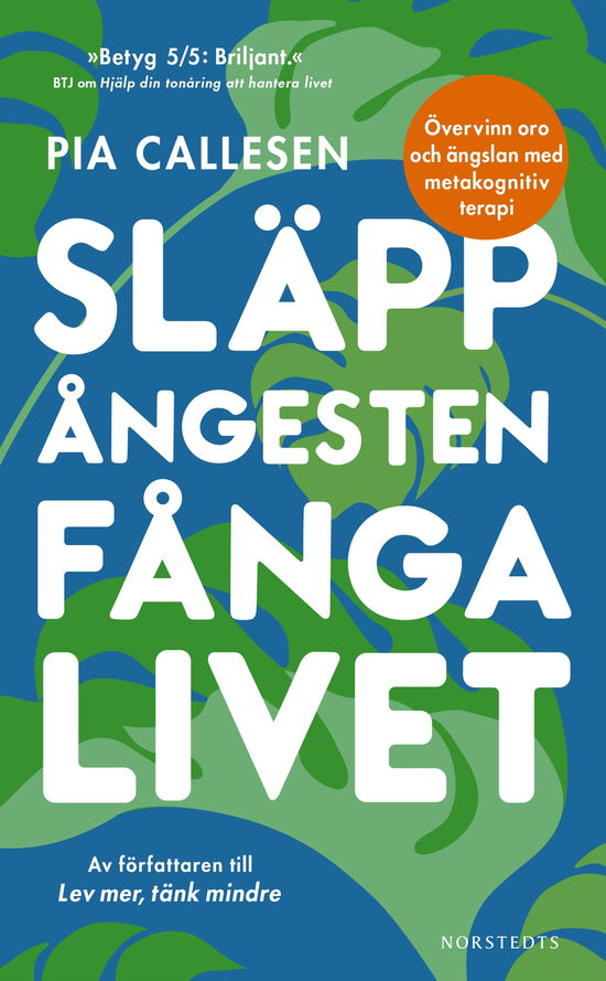 Släpp ångesten, fånga livet : övervinn oro och ängslan med metakognitiv ter - Pia Callesen - Livres - Norstedts Förlag - 9789113135700 - 11 juillet 2024