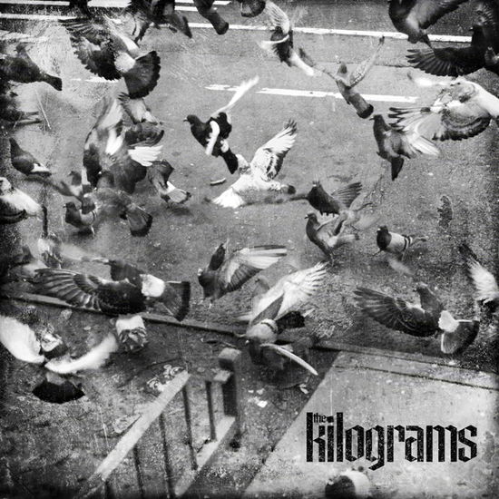 Cover for The Kilograms · Every Street B/w Drop That Guff (7&quot;) (2025)