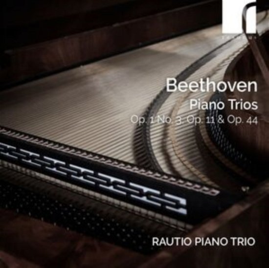 Cover for Rautio Piano Trio · Beethoven Piano Trios Op. 1 No. 3 / Op. 11 &amp; Op. 44 (CD) (2024)