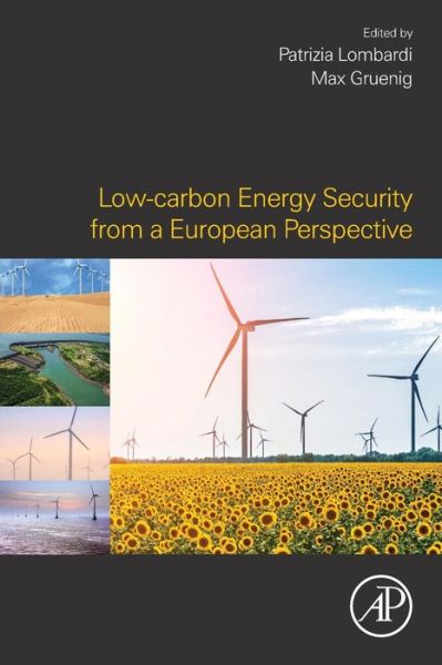 Cover for Max Grünig · Low-carbon Energy Security from a European Perspective (Paperback Book) (2016)