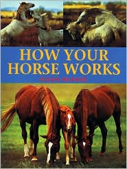 Cover for Susan Mcbane · How Your Horse Works (Paperback Book) [New edition] (2002)