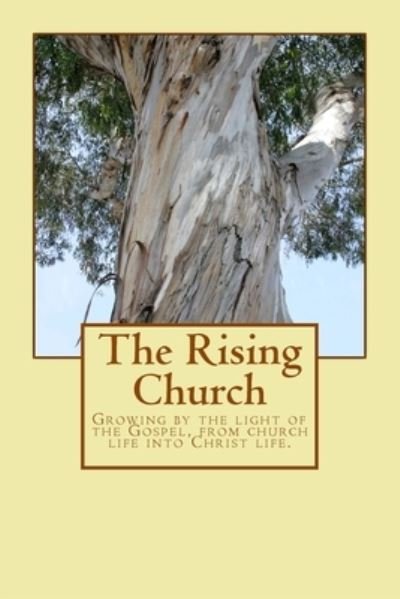 Cover for Phelim Doherty · The Rising Church (Paperback Book) (2016)