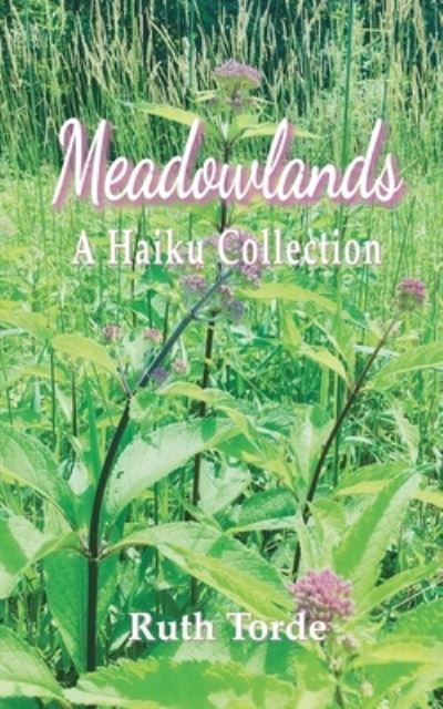 Cover for Ruth Torde · Meadowlands (Paperback Book) (2020)