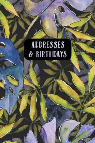 Cover for Andante Press · Addresses &amp; Birthdays (Paperback Book) (2019)