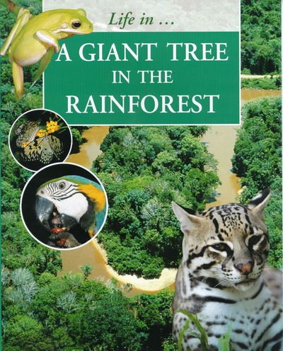 Cover for Morgan · Life in a Giant Tree in Rainforest (N/A) (2000)