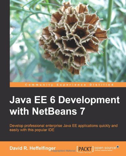 Cover for David R. Heffelfinger · Java EE 6 Development with NetBeans 7 (Paperback Bog) (2011)