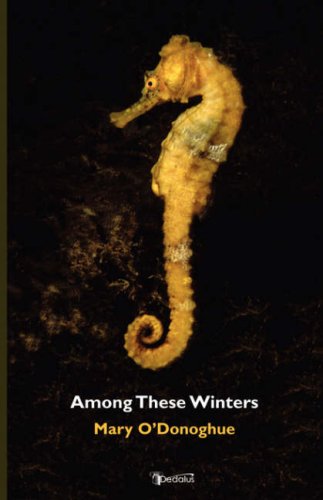 Cover for Mary O'Donoghue · Among These Winters (Paperback Book) (2007)